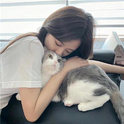 森林之境
